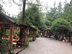 -青城甲(青城山店)