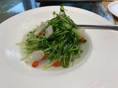 -素心小筑(后沙裕镇店)