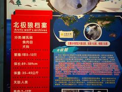 -海合安天津极地海洋公园
