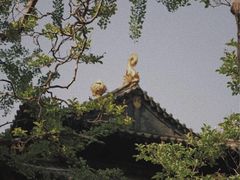 -昆明市金殿名胜区