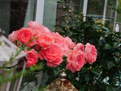 -花·fleur古董西餐厅(西城夜未央店)