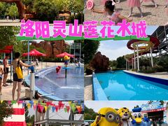 -灵山莲花公园-温泉度假区