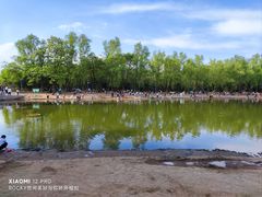 -森林公园(尖草坪区)