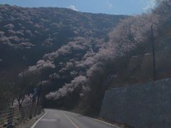 -妙峰山风景名胜区