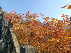 -狼牙山风景区