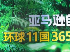 -亚马逊海鲜自助(梅溪湖步步高店)