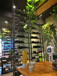 -藤野造型·专业烫染店