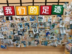 -派联宠物医院·24h·CT·异宠