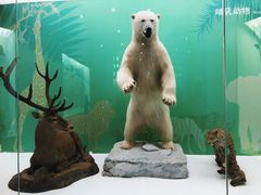 -国家自然博物馆