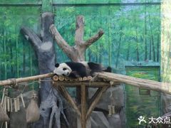 -灵玲国际马戏城