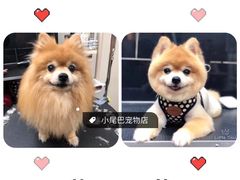 -小尾巴宠物店(万科·金域华庭店)