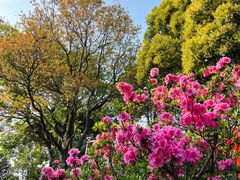 -梧桐山风景名胜区