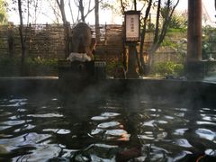 -西安国际创新人才交流中心•药浴温泉