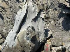 -灵山岛风景区