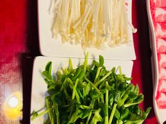 豆苗-苏完瓜尔佳氏·满洲涮肉(古方路店)