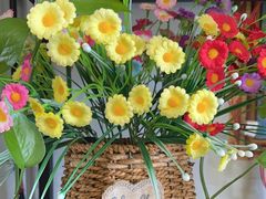 -鸡西大冷面(兰山店)