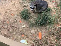 -无锡动物园·太湖欢乐园