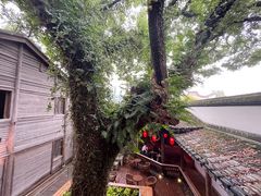 -星巴克(福州三坊七巷店)