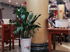 大堂-西新饭店(城中店)