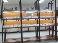 -五派眼镜(沙河店)