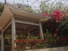 -小南山公园