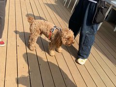 -小意思咖啡店(草桥店)