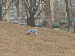 -小意思咖啡店(草桥店)