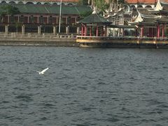 -龙舟池