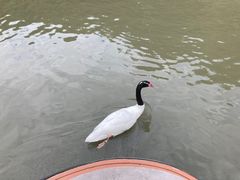 -广州长隆飞鸟乐园