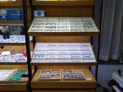 -美空眼镜·星趣控·新乐学·控优点合作店(周浦万达店)