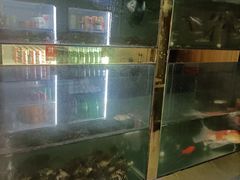 -小乡小镇·传承桐庐土菜·老板亲自烧的菜