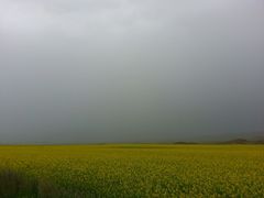 -扁都口生态休闲旅游区