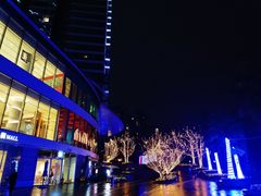 -棕榈MALL