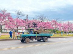 -韶关经律论国际酒店温泉