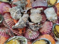 -大锅强·蒸海鲜青岛菜(吾悦广场店)