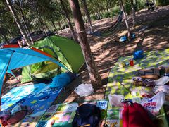 -天津武清北运河郊野公园房车露营地