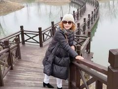 -泗洪洪泽湖湿地景区