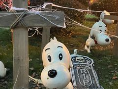 -国色天乡三期陆地乐园