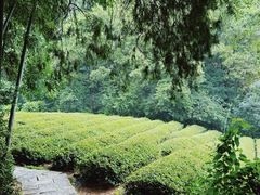 -敬亭山风景名胜区