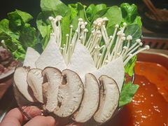 -九鼎轩脆毛肚火锅(铜山万达店)