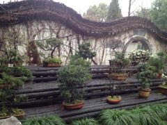 -绮园景区