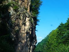 -黑河国家森林公园