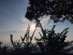 景点-风云岭森林公园