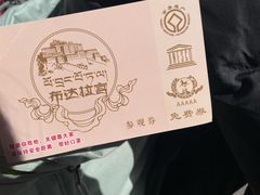 -布达拉宫