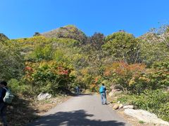 -大连天门山国家森林公园