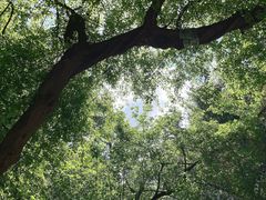 -长春净月潭风景名胜区