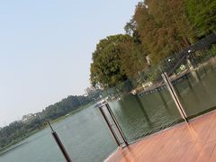 -白云湖畔酒店-湖畔餐厅