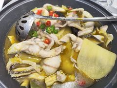 -周正水煮活鱼·吊水鱼(杏东店)