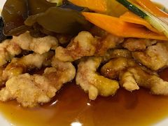 糖醋肉-桃园中华料理炸酱面(燕儿岛路店)