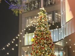 -东莞松山湖万象汇